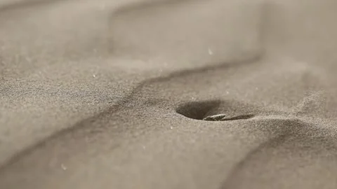 006A0325 库存影片 311729634