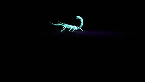 006A9853 库存影片 311729283