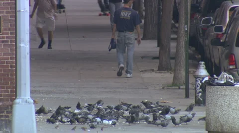 007 0261 Stock Footage 935099