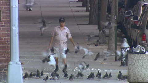 007 0261A Stock Footage 935119