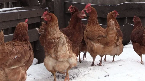 007 Video stock 122616304