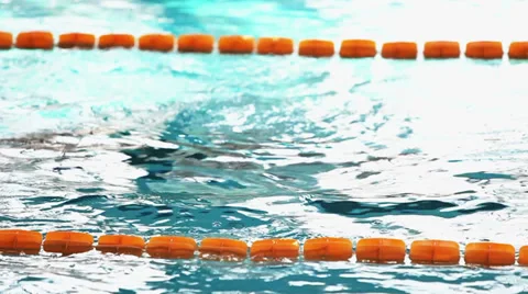 0072 In The Swimming Pool Stock Footage 31036768