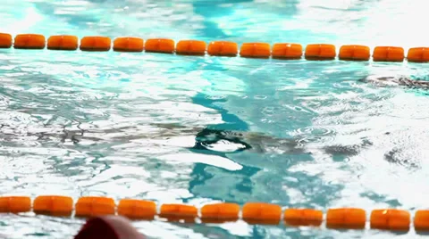 0073 In The Swimming Pool Stock Footage 31109913