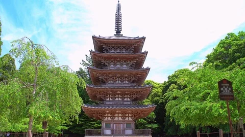 0076 daigo ji Stock Footage 91683338