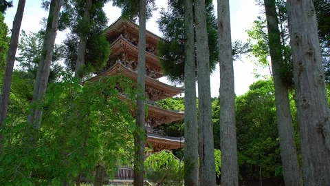 0079 daigo ji Stock Footage 91684090