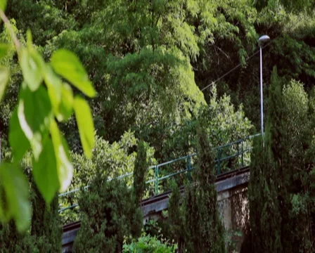 0079 Funicular PAL Stock Footage 5772933