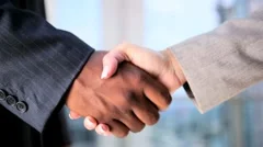 Handshake Between Multi Ethnic Business People