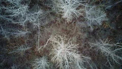 008 Video stock 122616298