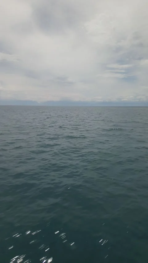 008 Video stock 245948674