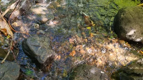 008 Stock Footage 345340937