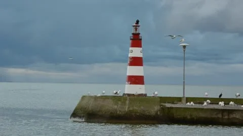 0080 Stock Footage 8853880