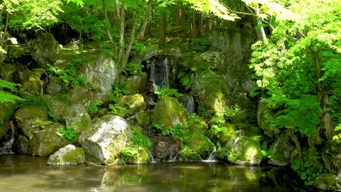 0081 waterfall Stock Footage 91684170