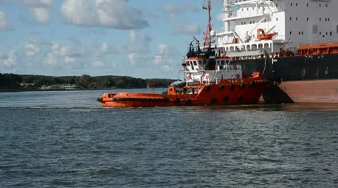 0082 Stock Footage 8853888