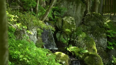 0082 waterfall Stock Footage 92121228