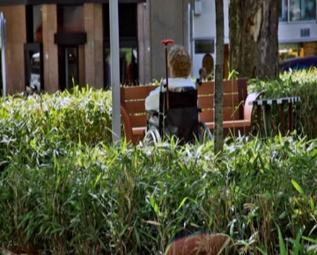 0085 Gente PAL Stock-Footage 8531411