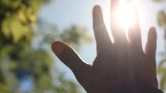 Suns rays through fingers palm