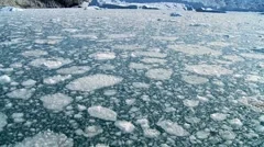Drifting Arctic Ice Floats