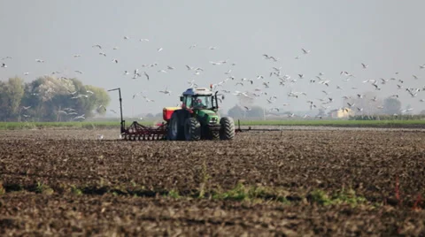 0088 Tractor at work in a farm land Video stock 30863190