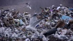stock footage huge garbage dump ecological disaster