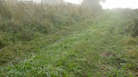 0089 Stock Footage 8853917