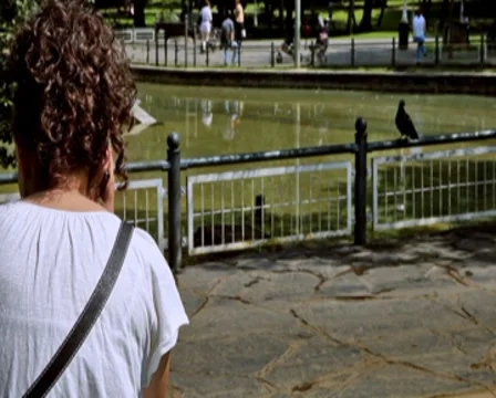 0089 Parque PAL Video stock 8542890