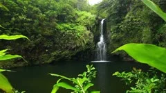 Jungle Waterfall in Hawaii