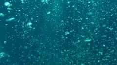 Bubbles underwater
