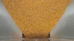 Corn Empties Completely - Hatch Shuts