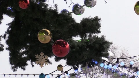 009 Video stock 122616274