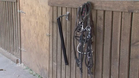 009 Harness Stock Footage 77551462