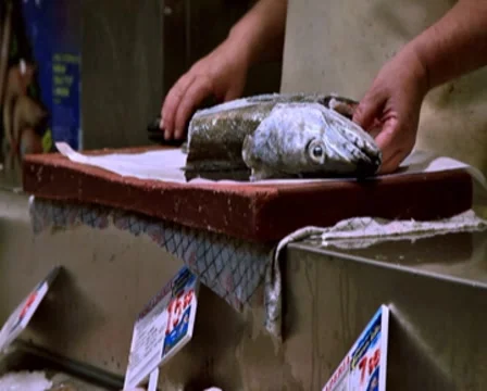 0094 Mercado PAL Stock Footage 8548314