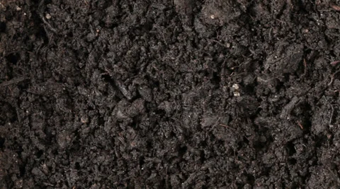 0094 soil Video stock 30809195