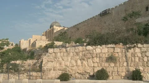 0096Ofel Video stock 20631029