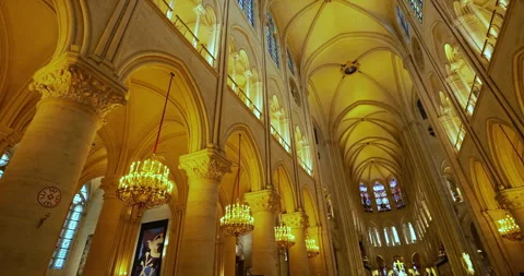 01-09-2025. The Notre Dame cathedral, ile de la Cite, Paris, France. Stock Footage 317530141