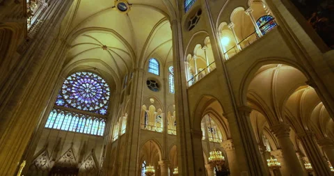 01-09-2025. The Notre Dame cathedral, ile de la Cite, Paris, France. Stock Footage 317530239