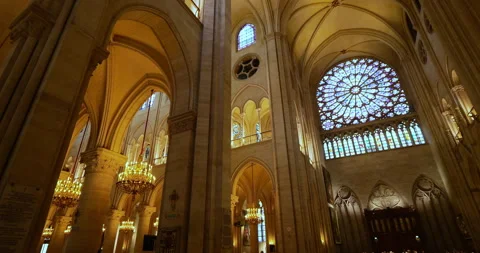 01-09-2025. The Notre Dame cathedral, ile de la Cite, Paris, France. Stock Footage 317530245