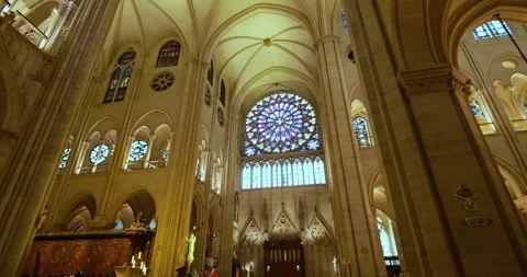 01-09-2025. The Notre Dame cathedral, ile de la Cite, Paris, France. Stock Footage 317530282