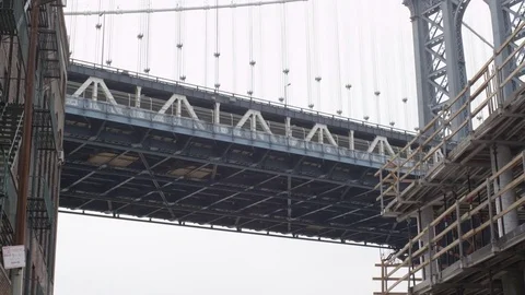 01 DUMBO 04 Stock Footage 75246546