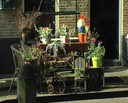 01 flowershop Stock Footage 371292