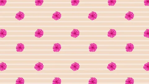 01 Hisbiscus Flowers Background - Leaf 6 Stock Footage 212464833