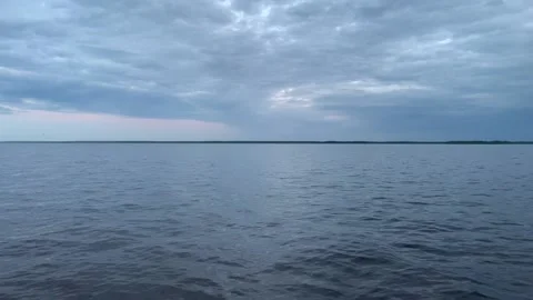 01 small waves on the lake and flying insects Video stock 170611846