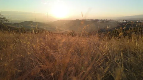 01 Walking through dry autumn grass at sunset Stock Footage 289405525