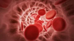 Red blood cells in artery