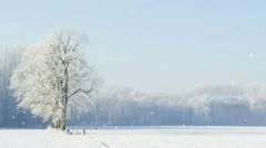 winter scene with looping snowfall