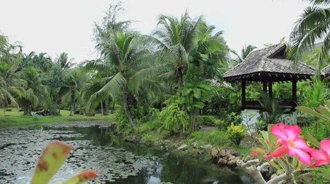 01.06.2012 - Phuket. Small pound in one of the luxury Phuket hotels. Stock Footage 32358266