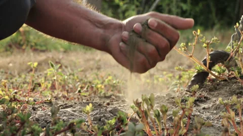 0107 my country Stock Footage 30784178