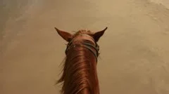 Horse Riding POV