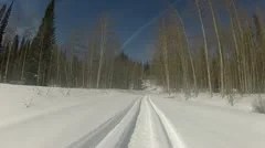 Snowmobile winter forest trail P HD 0007