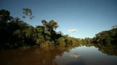 Amazon River with Rainforest in PERU - POV on a Boat