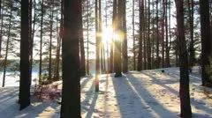 Winter Forest and the sun, timelapse